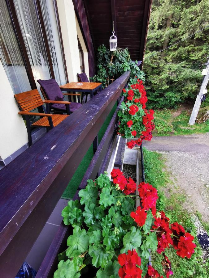 Apartament Kalinderu K1 Buşteni Exterior foto