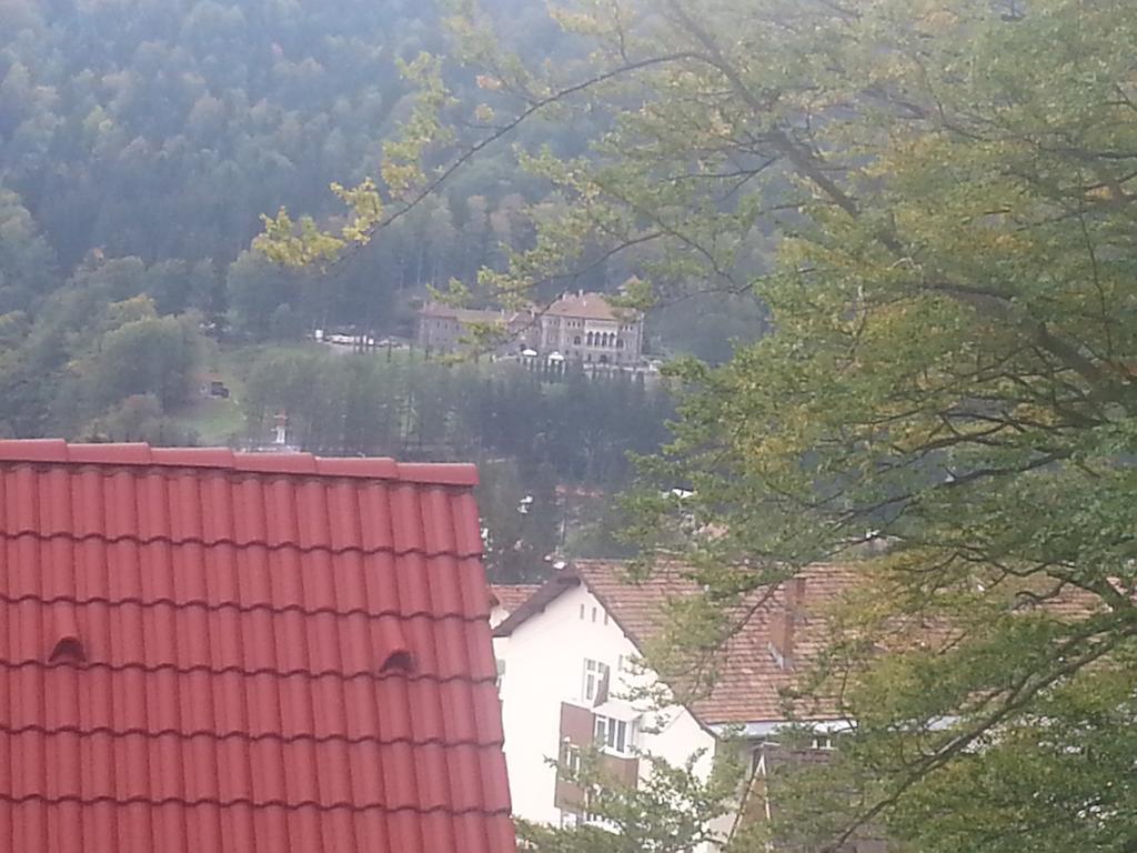 Apartament Kalinderu K1 Buşteni Habitación foto