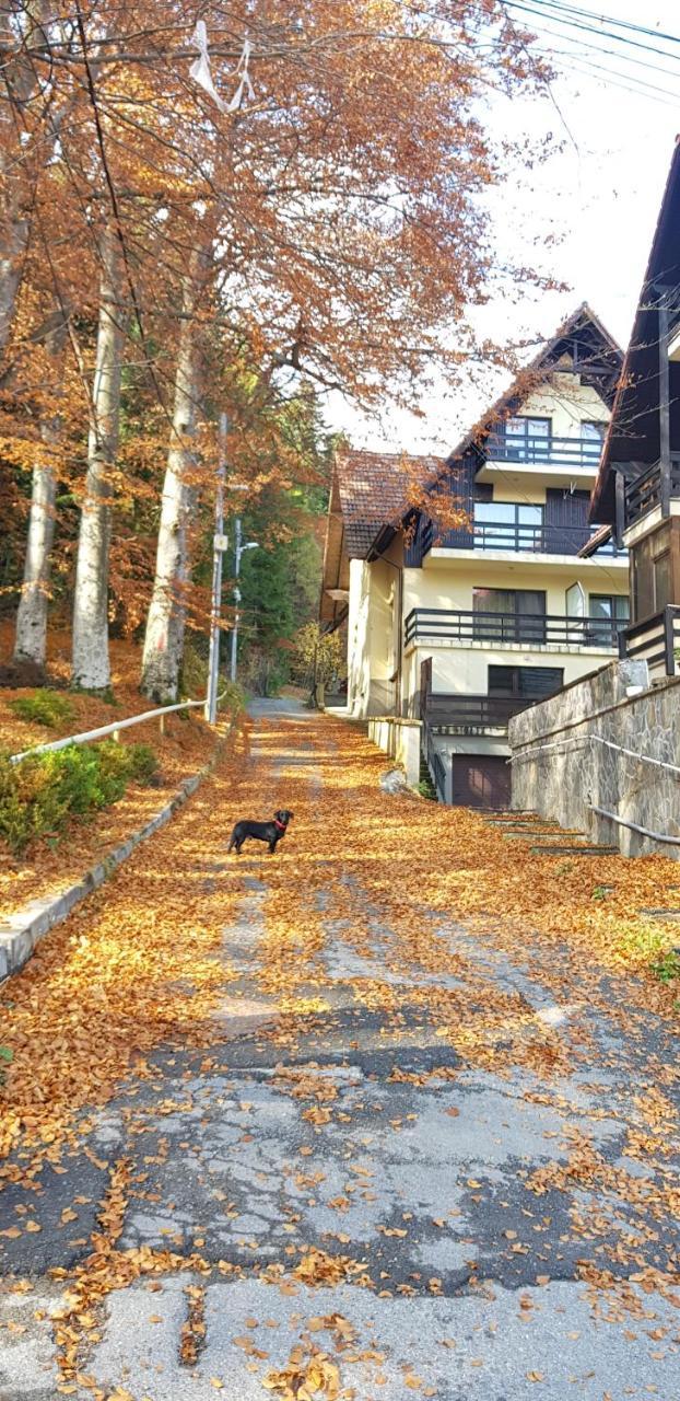 Apartament Kalinderu K1 Buşteni Exterior foto