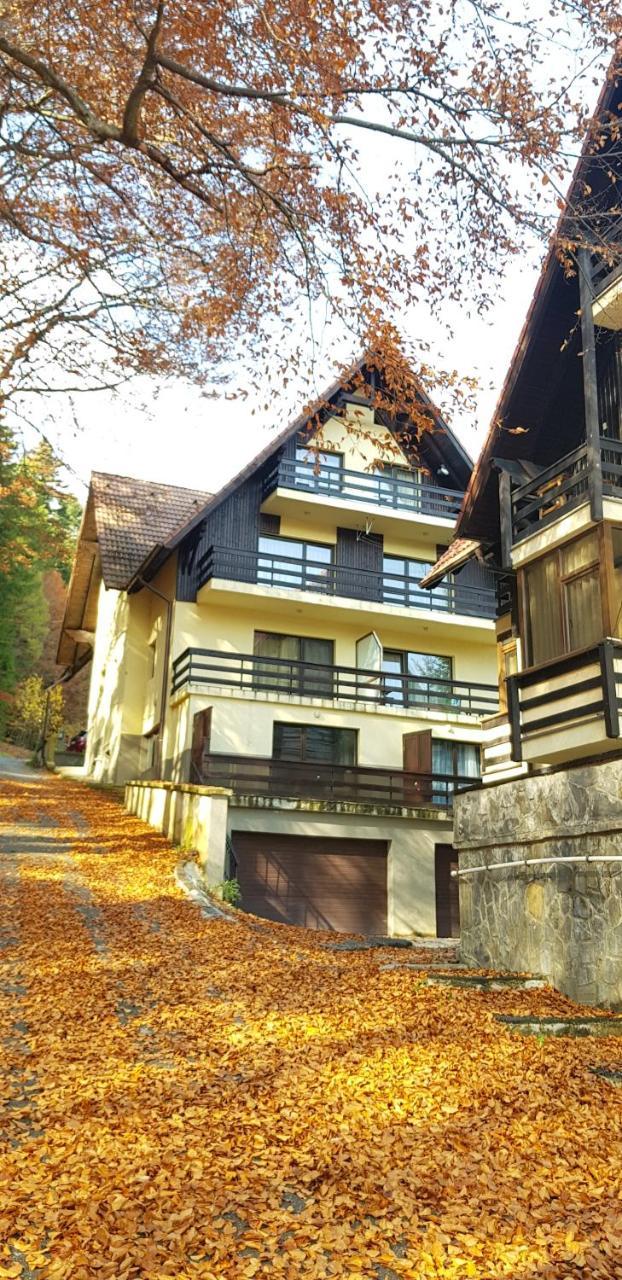 Apartament Kalinderu K1 Buşteni Exterior foto