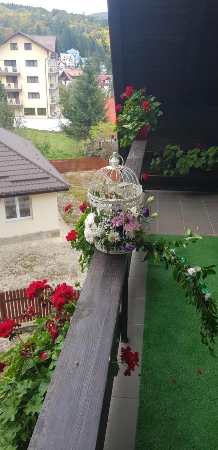 Apartament Kalinderu K1 Buşteni Exterior foto