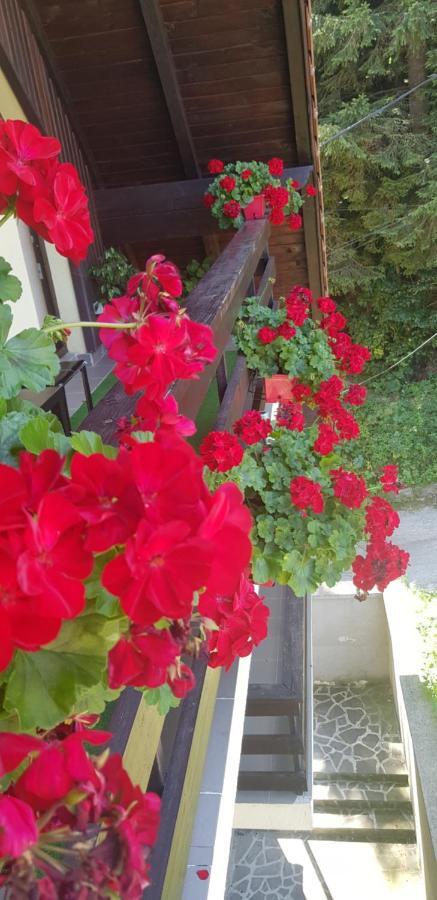 Apartament Kalinderu K1 Buşteni Exterior foto
